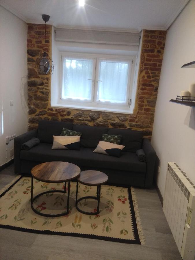 Coqueto Apartamento Frente Al Guggenheim Bilbao Bagian luar foto
